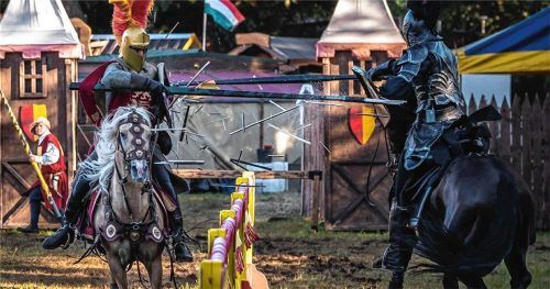 Einer der Höhepunkte des Mittelalter-Spektakels auf Schloss Tüßling ist das Ritterturnier. Fotos Turba Events