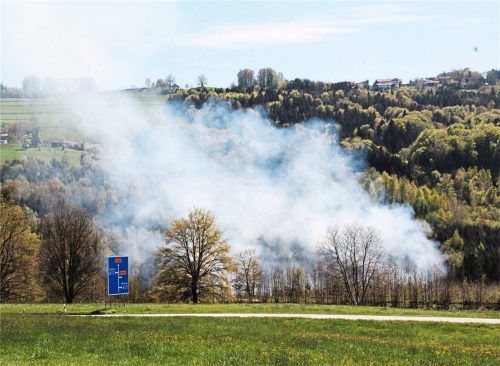 Es war nicht der erste Waldbrand in Rohrdorf, über den sich der Grundeigentümer in den vergangenen zwei Jahren ärgern musste. Fotos Reisner