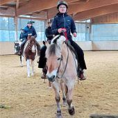 Westernreit-Elite am Start