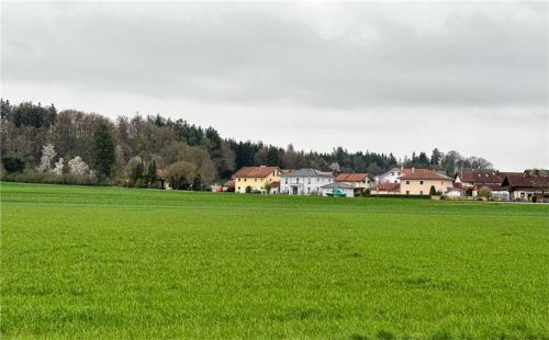 Hier soll das Albachinger Neubaugebiet Kreuzstraße entstehen. Foto Giessibl