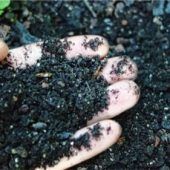 Nachhaltig in die Gartensaison