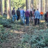 Naturverjüngung ohne Verbiss sichtbar