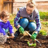 Gartenarbeit im Frühjahr