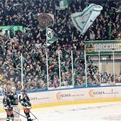 Starbulls mit neuer Struktur