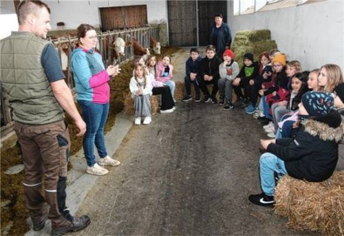 Martin und Elisabeth Stoiber empfingen in ihrem Milchviehbetrieb eine 5. Klasse der Mittelschule Ampfing. Im Hintergrund: Margarete März (AELF), die solche Besuche vermittelt.