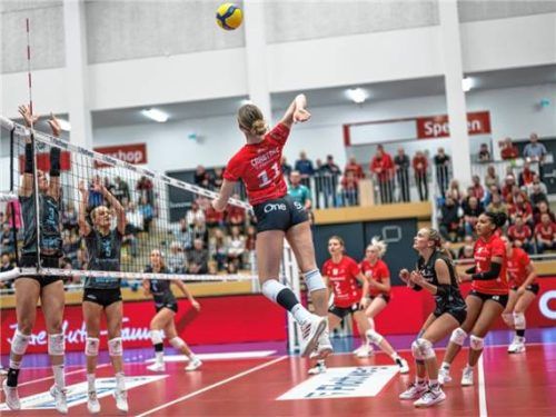 Meister Vilsbiburg muss in Düsseldorf ran.Foto Hermann Boxleitner