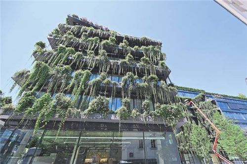 Mit rund 2.000 bepflanzten Gefäßen wird dieses Gebäude in Stuttgart begrünt. Foto Bernd Weißbrod/dpa