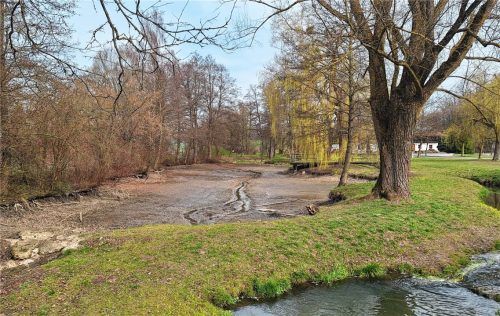Muss dringend ausgebaggert werden – der Dorfweiher in Zangberg. Foto huber
