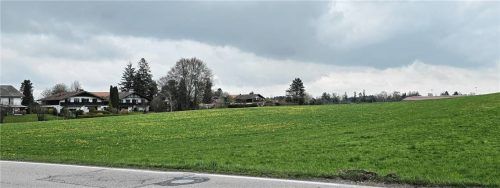 Noch grüne Wiese, doch schon bald ein Einkaufsstandort. Jetzt müssen der Flächennutzungsplan geändert und ein Bebauungsplan aufgestellt werden. Foto Rosi Ammelburger