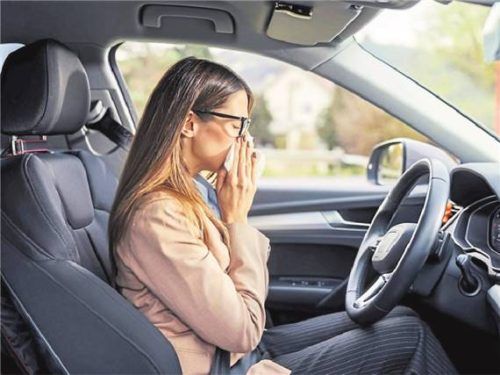 Pollenzeit: Allergiegeplagte müssen jetzt beim Autofahren besonders vorsichtig sein. Foto ACV AUTOMOBIL-CLUB VERKEHR