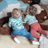 Familienpflegewerk im Einsatz