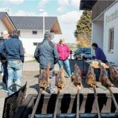 Steckerlfische kommen gut an