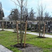 Ein Friedhof voller Leben