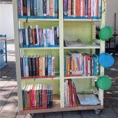 Ein Bücherregal für alle im Freibad