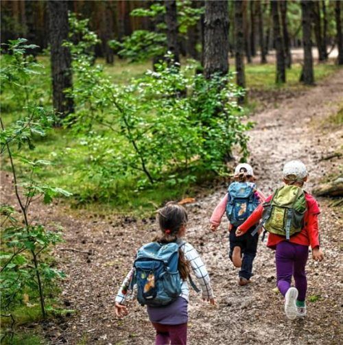 Zwei Buben büxten bei einem Ausflug ihrer Kindergartengruppe in Oberaudorf aus. Sofort wurde mit einem Großeinsatz nach den beiden gesucht (Symbolbild). Foto Dpa