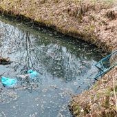 Müllsünder mitten in der Gemeinde