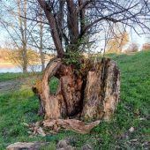 Neues Leben ist entstanden