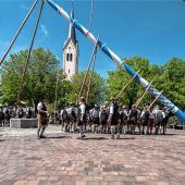 Kolbermoorer Maibaum aufgestellt