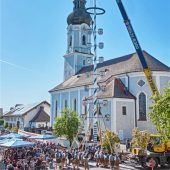 Maibaum wieder aufgerichtet