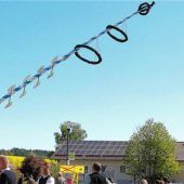 Irler Maibaum steht