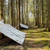 Forschungsfläche im Großhaager Forst bei Maitenbeth soll Erkenntnisse zum Klimawandel liefern