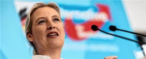 Alice Weidel, Bundesvorsitzende der AfD. Foto dpa
