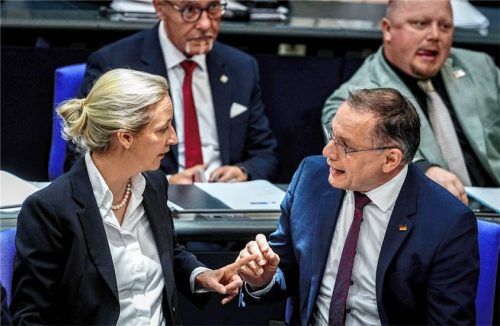 Alice Weidel, Fraktions- und Bundesvorsitzende der AfD, und Tino Chrupalla, AfD-Bundes- und Fraktionsvorsitzender, nehmen an der Sitzung des Bundestags teil. Foto DPA