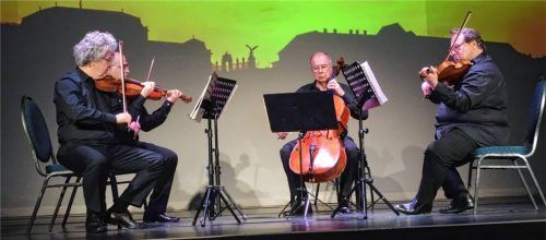 Attila Falvay und Ferenc Bangó (Violine), Zoltán Tuska (Viola) und György Éder (Violoncello) begeisterten das Publikum. Foto Füchtner