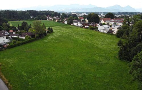 Auf diesem Areal im Nordosten Kolbermoors plant die Stadt seit 2024 gemeinsam mit einem Bauprojektentwickler den Bau einer neuen Siedlung mit rund 300 Wohneinheiten. Foto Hadersbeck