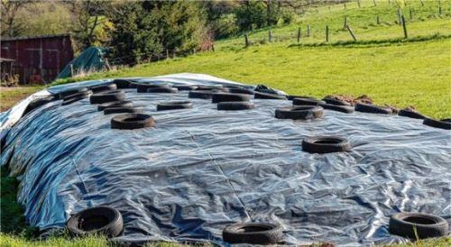 Aus einem Vorrat an Silage (vergorenes Tierfutter) trat in Nußdorf Sickersaft aus (Symbolbild). Foto IMAGO/Stefan Ding