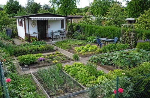 Beete, eine kleine Laube und ein ruhiger Sitzplatz: So sieht die klassische Kleingarten-Idylle aus. Fotos KI