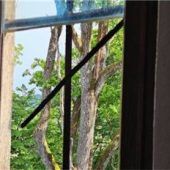 Glück im Unglück – Blitz trifft Baum neben Jubiläumskirche
