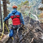 160 Hektar Wald sind zerstört