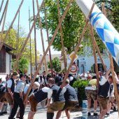 <p>Das Aufheben des Baumes erfordert viel Kraft und Koordination.</p>