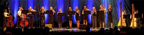 Das Ensemble „Junge Streicher plus Harfen“ unter der Leitung von Darius Koriako. Fotos Musikschule Rosenheim