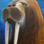 Tiere sehen dich an