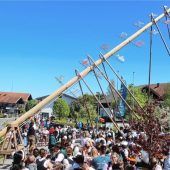 Chiemings Maibaum steht – nach Bierauslöse
