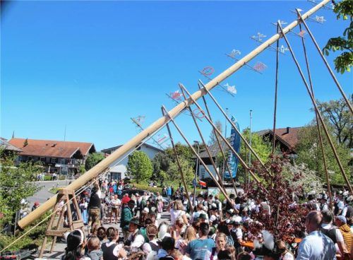 Die Eisenärzter und Chieminger Buam stellen gemeinsam den Maibaum auf. Fotos Zandl