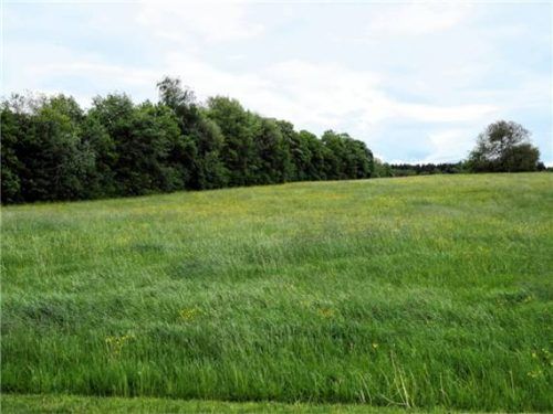 Die Erschließungsstraße im neuen Gewerbegebiet Höhenrain bekommt den Namen „Osterfeld“. Foto Merk