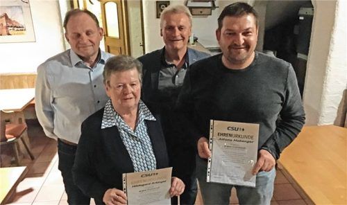 Die Geehrten (von links): Richard Petermeier, Hildegard Artinger und Alfons Haberger mit dem Vorsitzenden Franz Lohr (Zweiter von rechts). Foto Jaensch