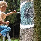 Den Wald auf kreative Art erleben
