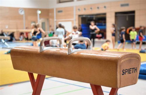 Ein Pauschenpferd steht während des Sportunterrichts in der Sporthalle einer Grundschule. Foto dpa