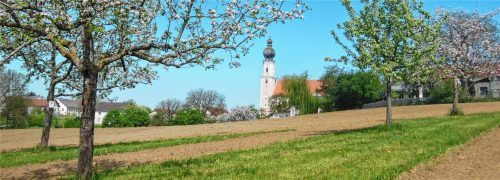 Ein schöner Anblick: die Streuobstwiese am Bondlfeld mit den bereits mit eingesäten Blühstreifen. Foto Angermeier