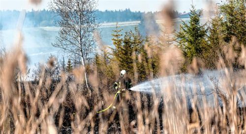 Etwa 2,4 Hektar Schilf standen am Samstag am südlichen Ufer des Eschenauer Sees in der Gemeinde Eggstätt in Flammen. Rund 250 ehrenamtliche Helfer von Feuerwehren, THW, BRK und Johannitern waren im Einsatz. Fotos Benje