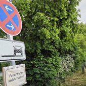 Und wieder grüßt das Parkchaos