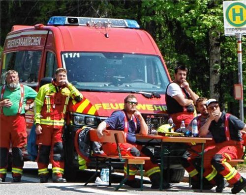Der Saurüsselkopf steht in Flammen.