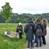 Gemeinsames Trauern am Baum der Erinnerung