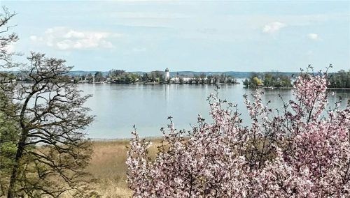 In der Gemeinde Chiemsee steht die Bürgermeisterfrage weiter offen. Nachdem Amtsinhaber Armin Krämmer seine Amtsgeschäfte zum 1. Mai niedergelegt hat, übernimmt Georg Klampfleuthner übergangsweise die Führung – bis voraussichtlich am 16. Juni ein neuer Bürgermeister gewählt wird. Foto Dachs