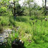 Aktion vogelfreundlicher Garten