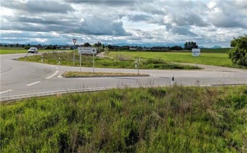 In nicht allzu ferner Zukunft soll auf dieser Wiese ein Zentrum regionaler Energie, gespeist aus den warmen Strahlen der Sonne, entstehen. Foto burlefinger
